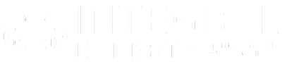 INTEGRAL EXPERTS